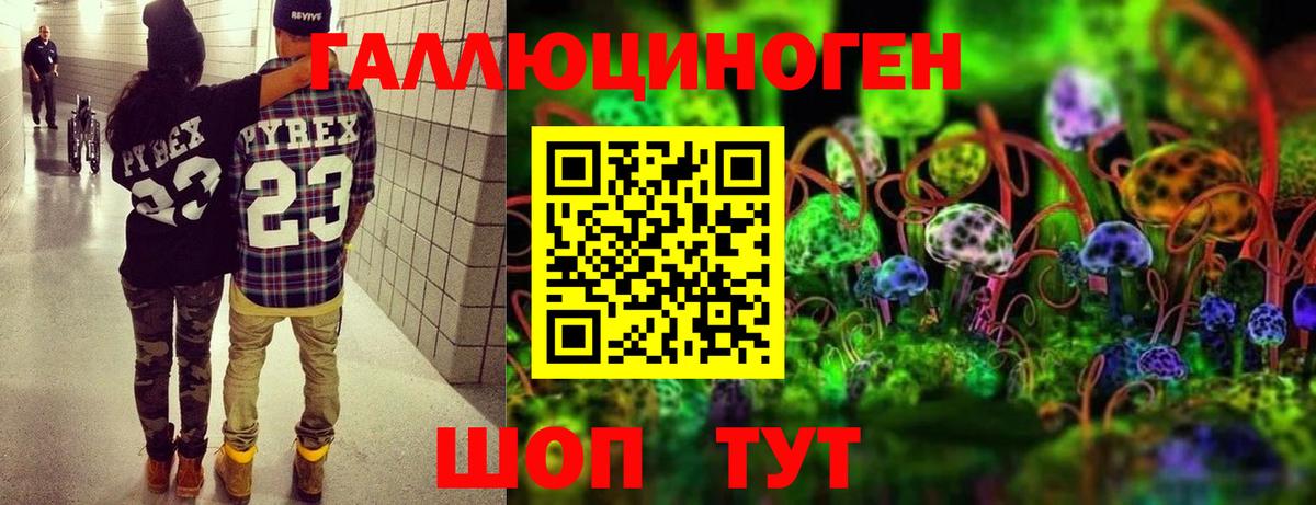 Галлюциногенные грибы Cubensis Электросталь