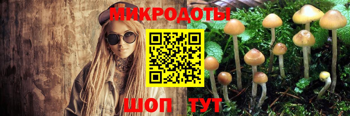 Галлюциногенные грибы прущие грибы  Вход с VPN  Галлюциногенные грибы Psilocybine cubensis  Электросталь 